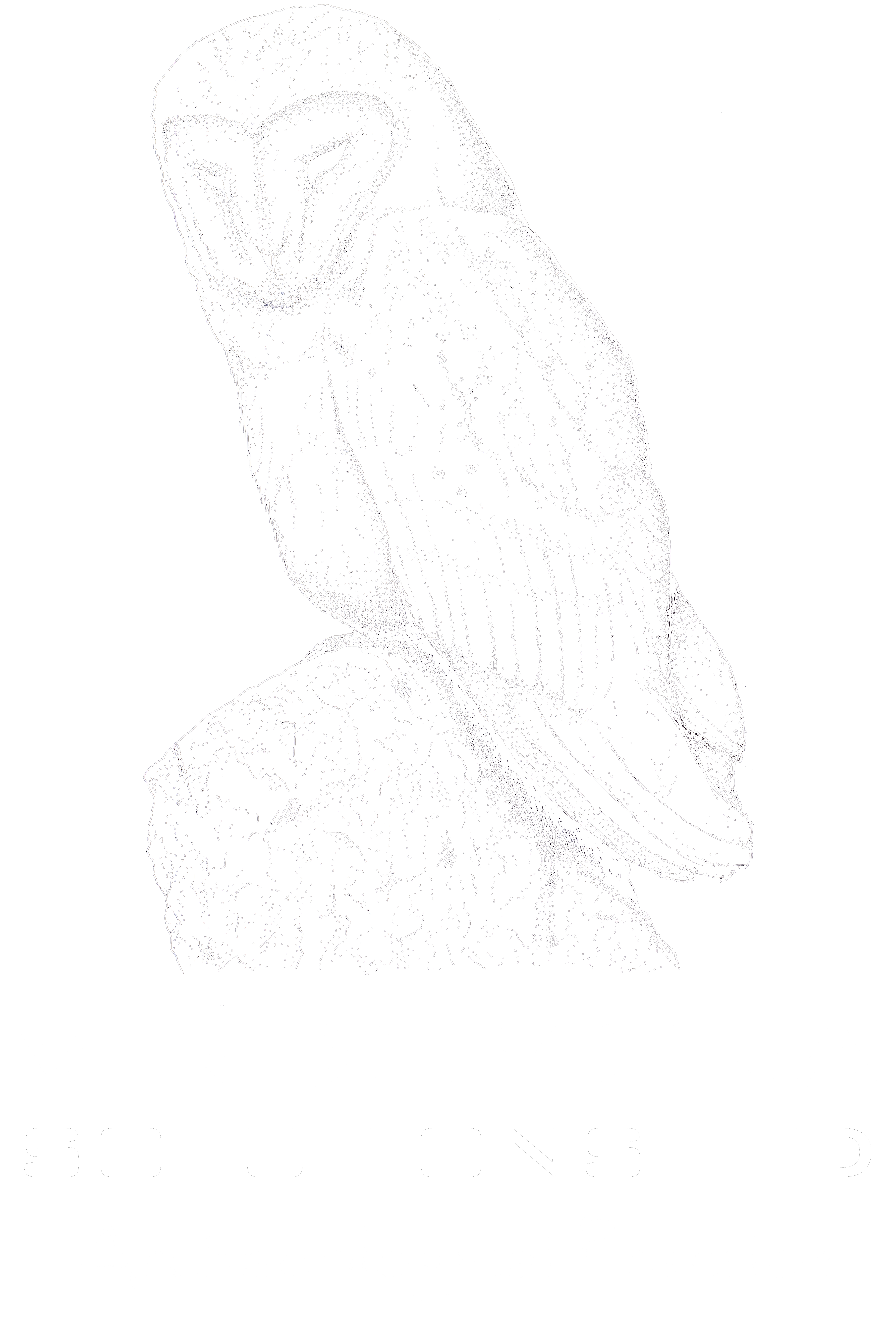 vindomora-negative